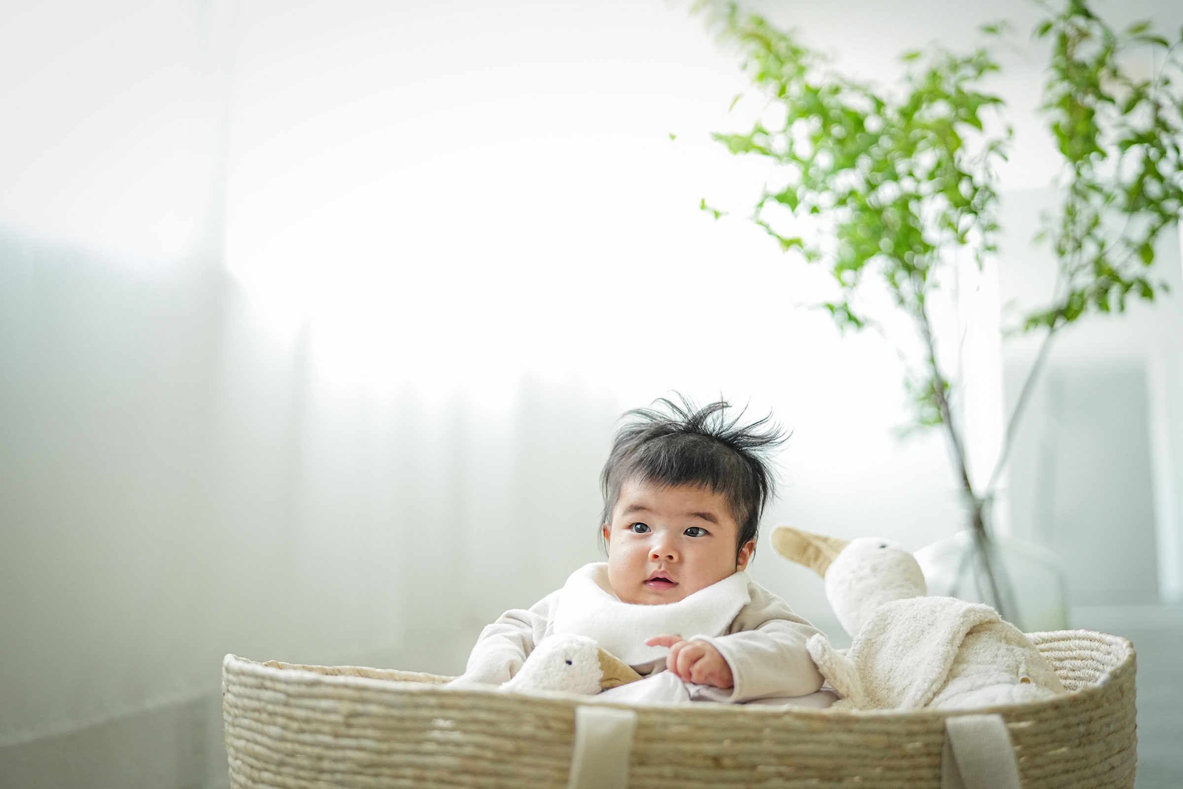 スタジオ撮影プラン